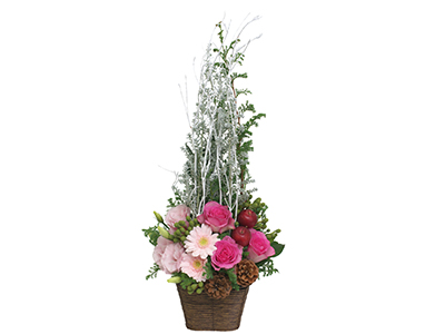 Colorful Gerbera Daisies