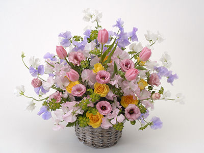 Colorful Gerbera Daisies