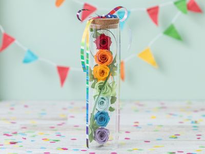 Colorful Gerbera Daisies