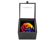 Diamond Rose･Rainbow(Preserved Flower)