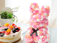 Funny Rabbit & Choose Cake