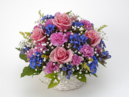 Happy Blue (Arrangement)(RespectForTheAgedDay)
