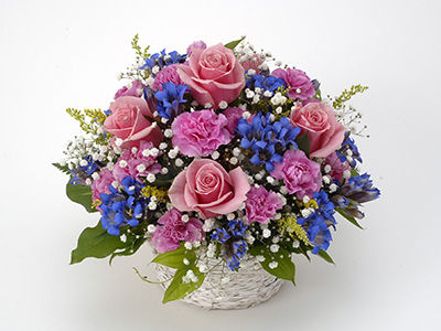 Colorful Gerbera Daisies