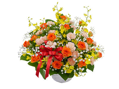 Colorful Gerbera Daisies