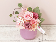 Chouette pink(Preserved Flower)