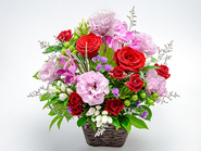 Rin(Arrangement)(RespectForTheAgedDay)