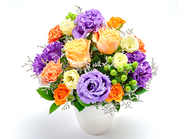 Dance(Arrangement)(RespectForTheAgedDay)