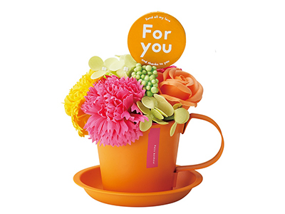 Colorful Gerbera Daisies