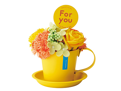Colorful Gerbera Daisies