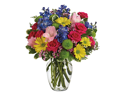 Colorful Gerbera Daisies