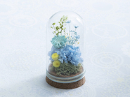 Eclat・Blue(Preserved Flower)